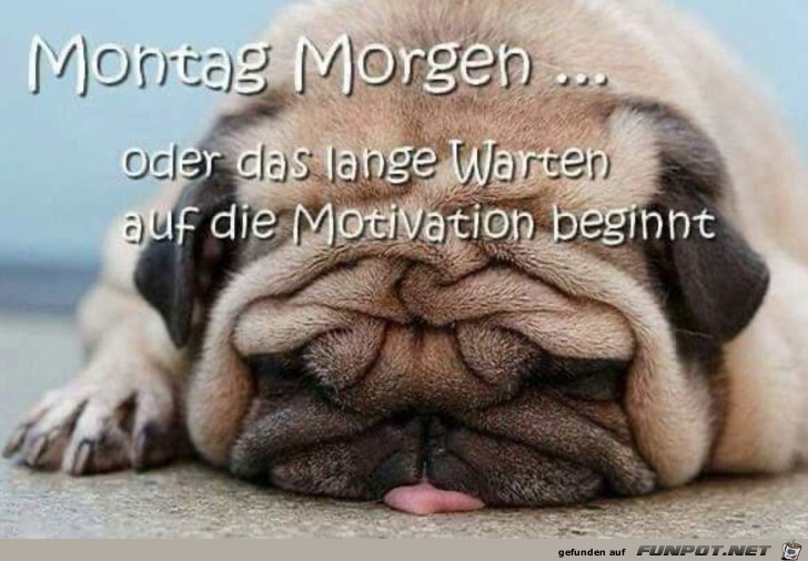 Montag Morgen