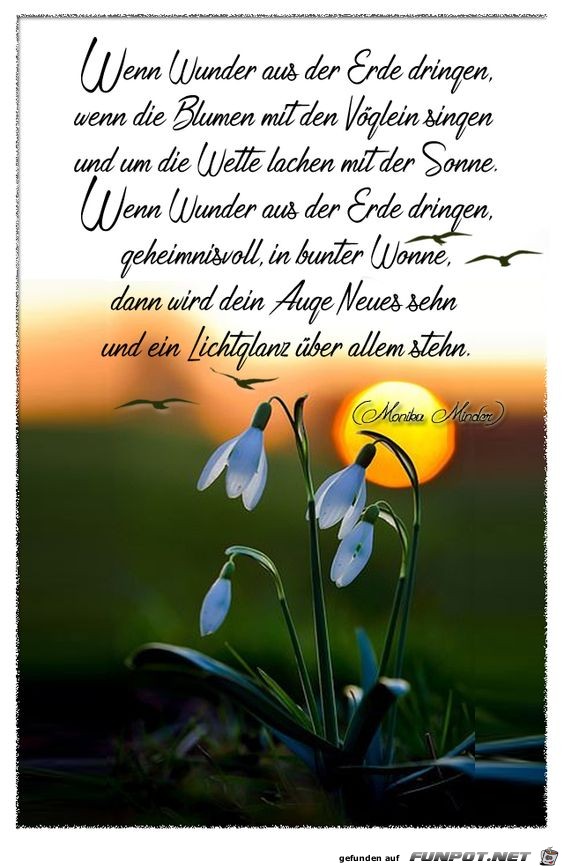 Wenn Wunder aus der Erde dringen