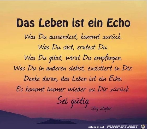 Das Leben ist ein Echo