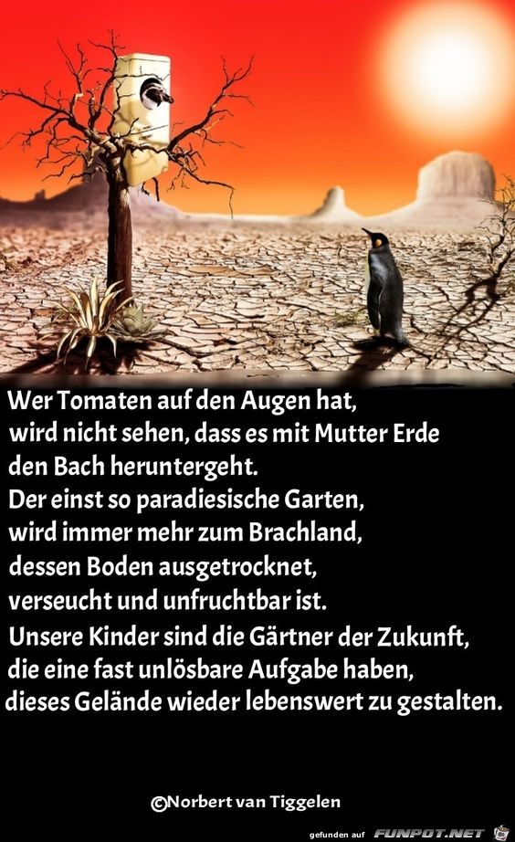 Wer Tomaten auf den Augen hat