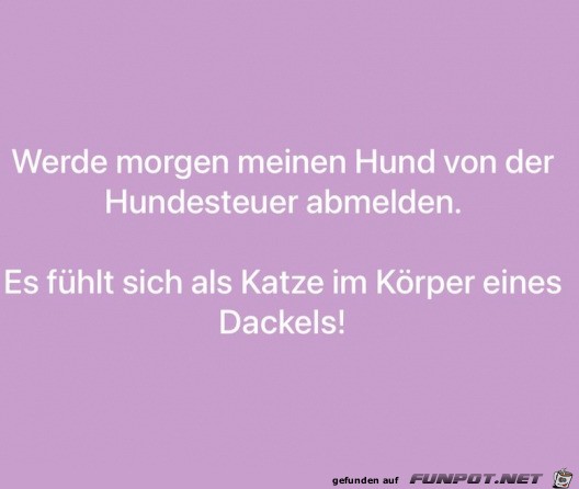 Gute Idee