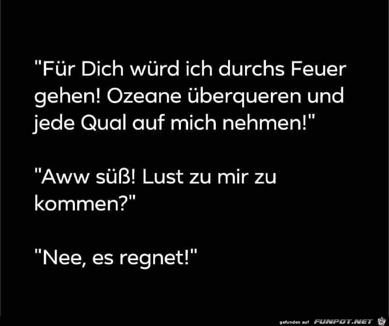 Nur leere Worte