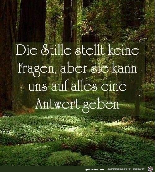 Die Stille stellt keine Fragen