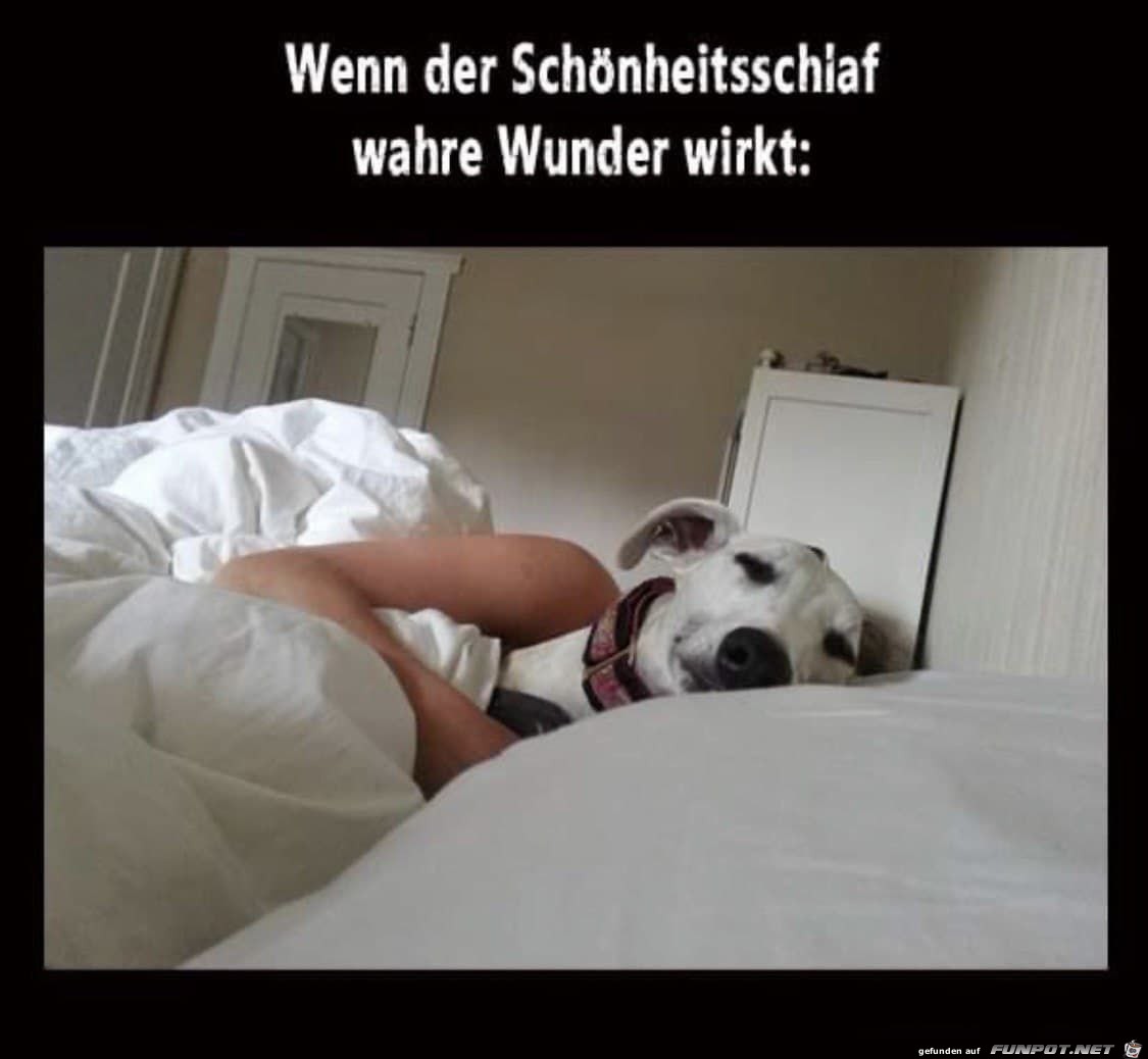 Ein Wunder