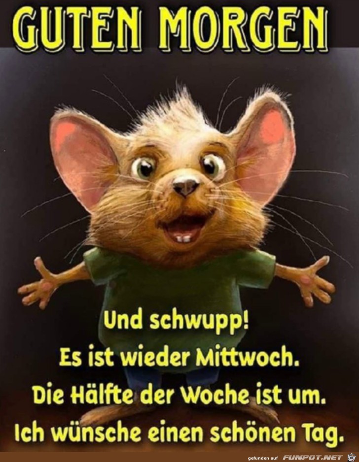 Guten Morgen am Mittwoch