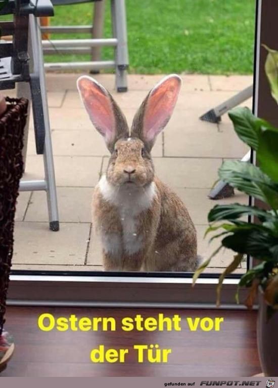 Bald ist Ostern