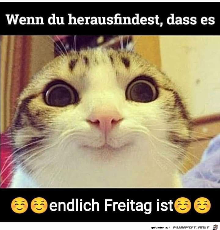 Endlich Freitag