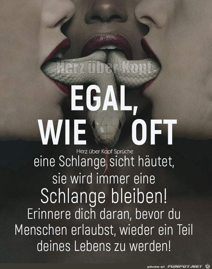 Eine Schlange