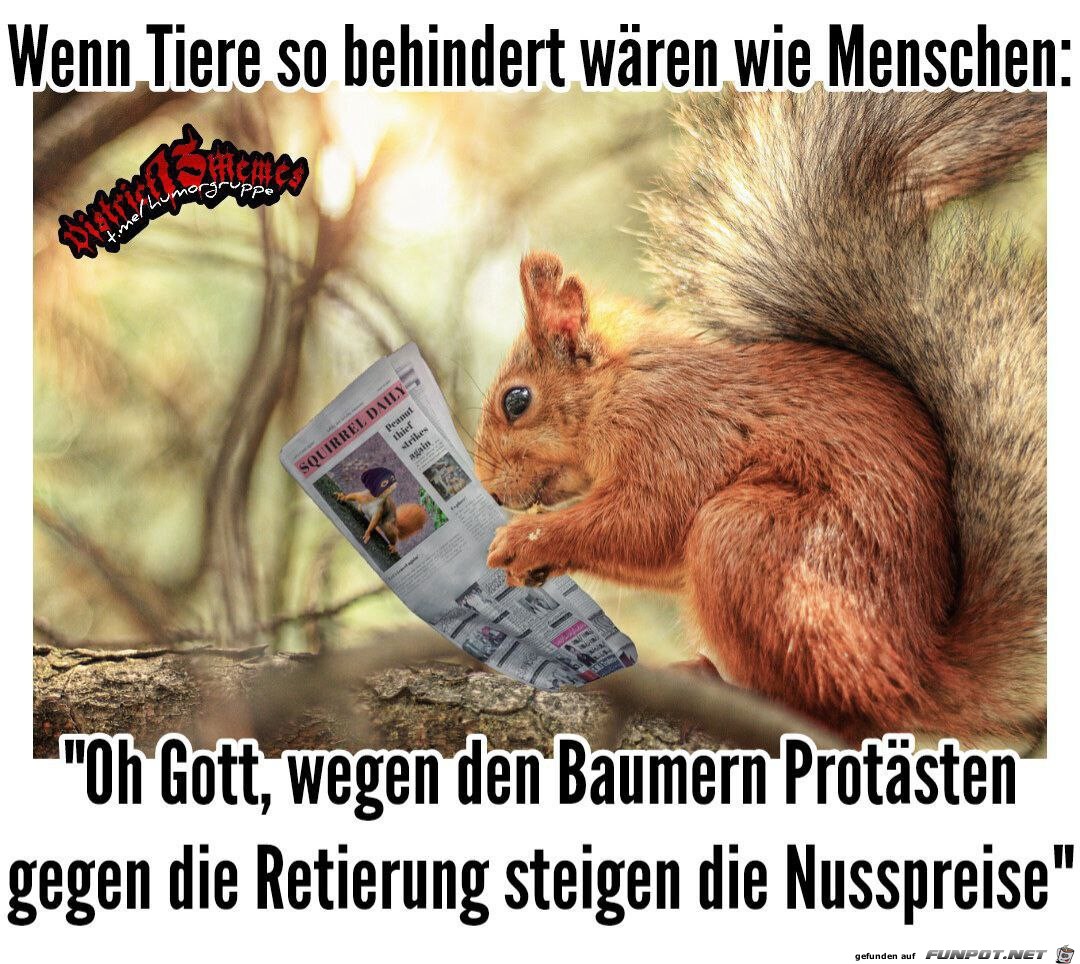 Wenn Tiere wie Menschen wren