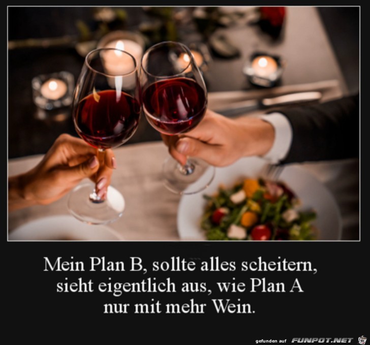 Mein Plan B