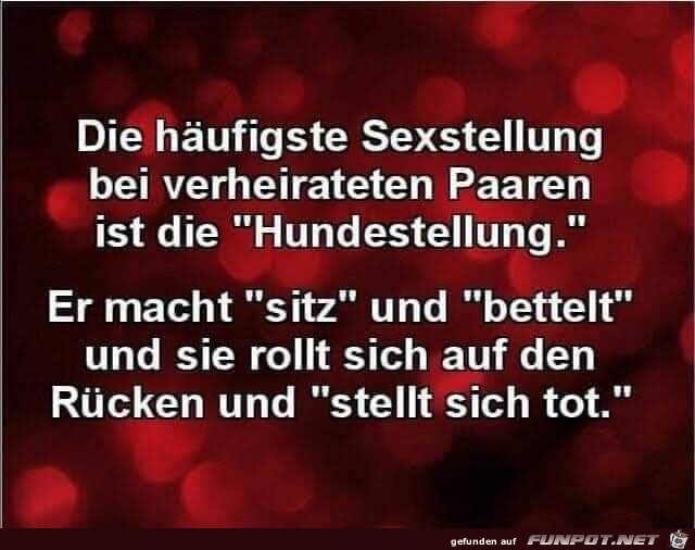 Hundestellung bei verheirateten Paaren....