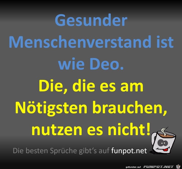 Gesunder Menschenverstand