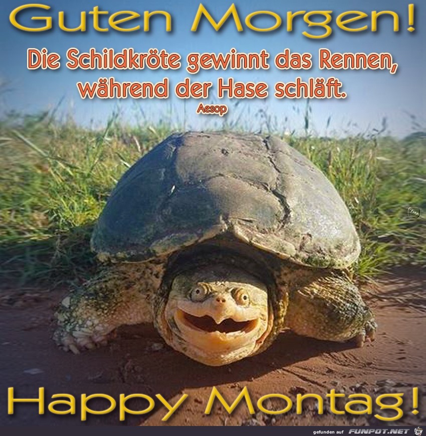 Montag