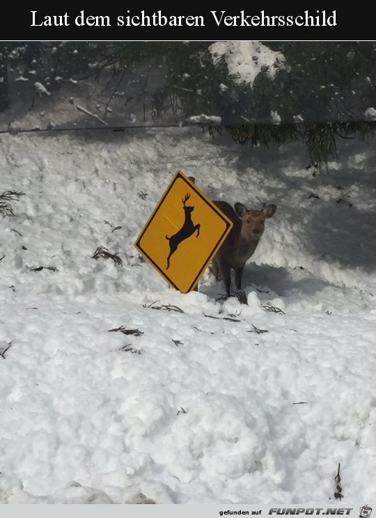 Wie es auf dem Schild zu sehen ist