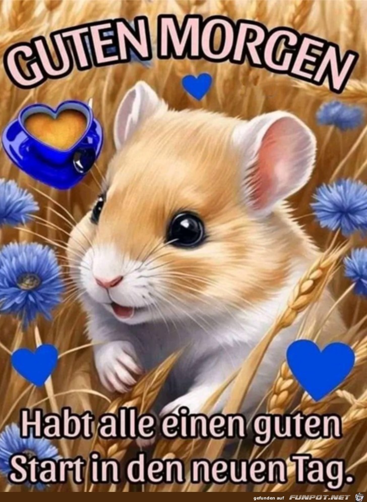 Guten Morgen