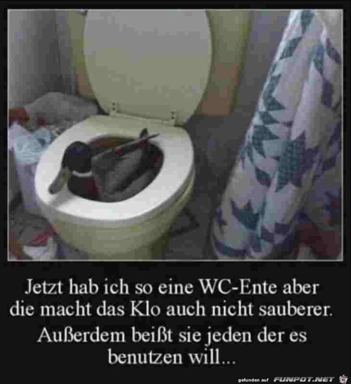 WC-Ente