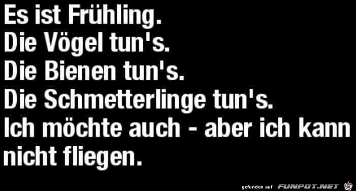Ich kann nicht fliegen Ich kann nicht fliegen