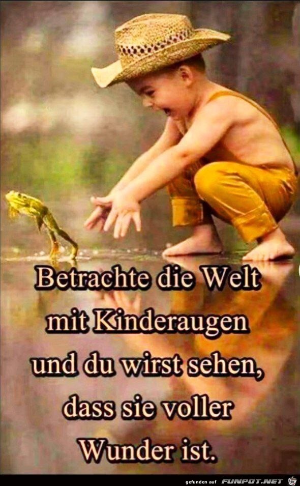 Die Welt ist voller Wunder