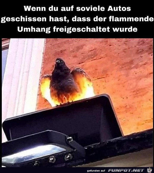 witzige Bilder aus verschiedenen Blogs