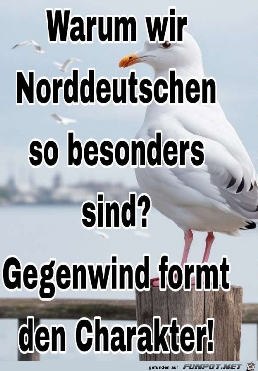 Die Norddeutschen