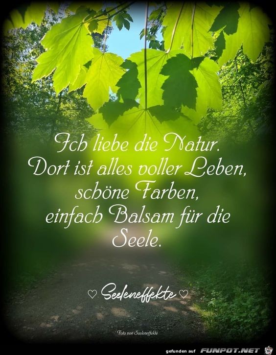 Ich liebe die Natur