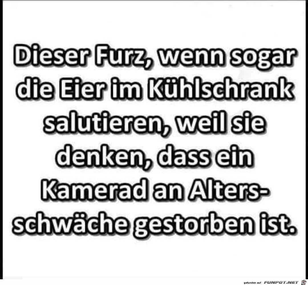 Der Furz...