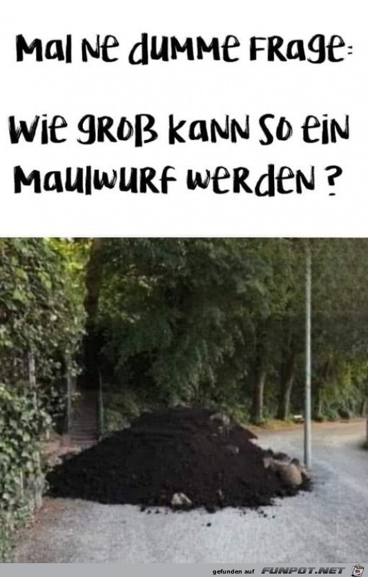 witzige Bilder aus verschiedenen Blogs