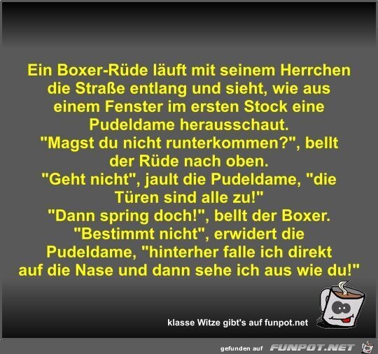 Ein Boxer-Rde luft mit seinem Herrchen die Strae entlang