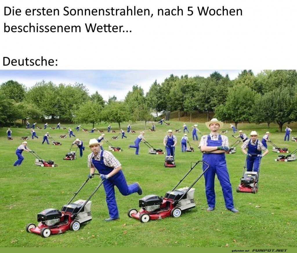 Bei den ersten Sonnenstrahlen