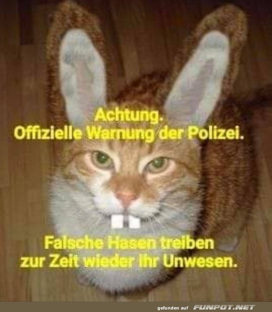 Falsche Hasen