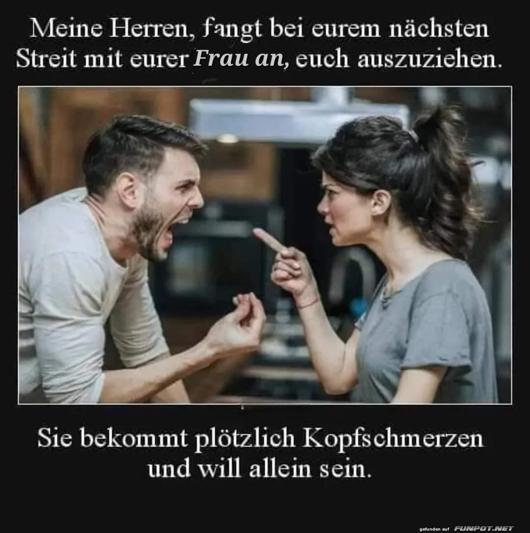 Meine Herren