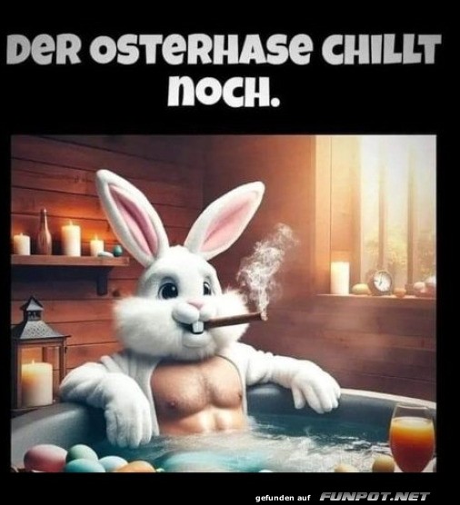 Er Osterhase chillt noch