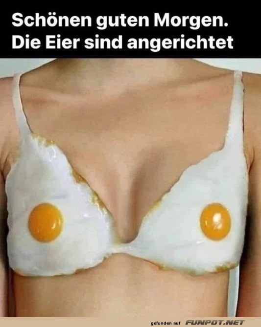 Schnen Guten Morgen.Die Eier sind angerichtet