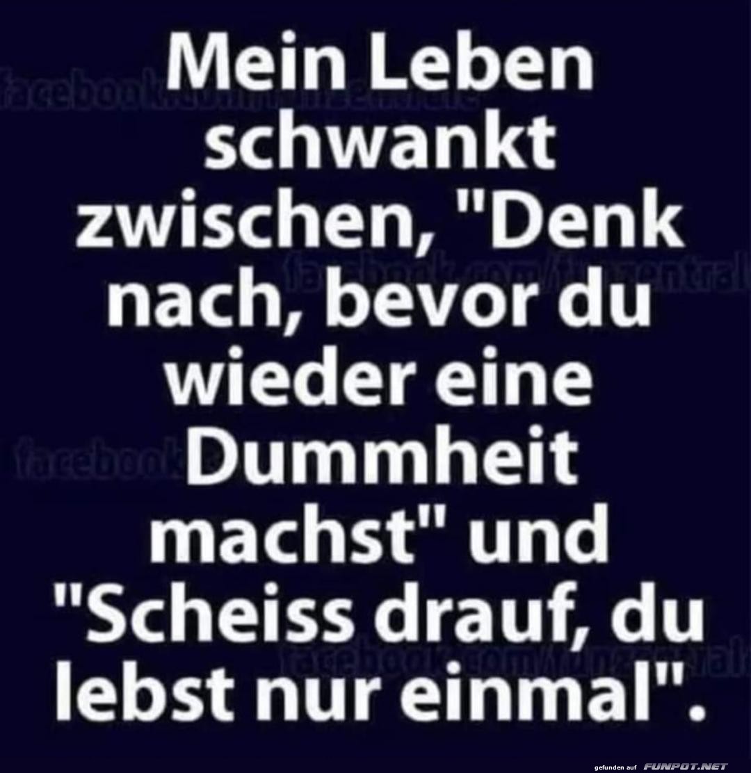 Scheiss drauf Scheiss drauf