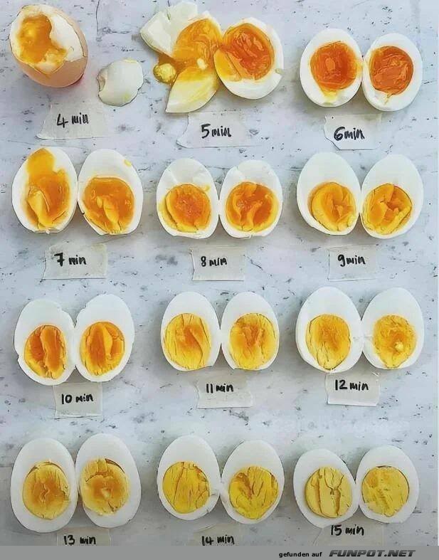 So sehen Eier nach bestimmter Kochzeit aus
