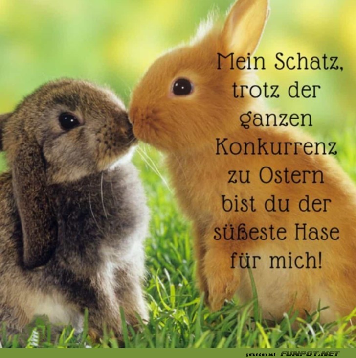 Wie lieb