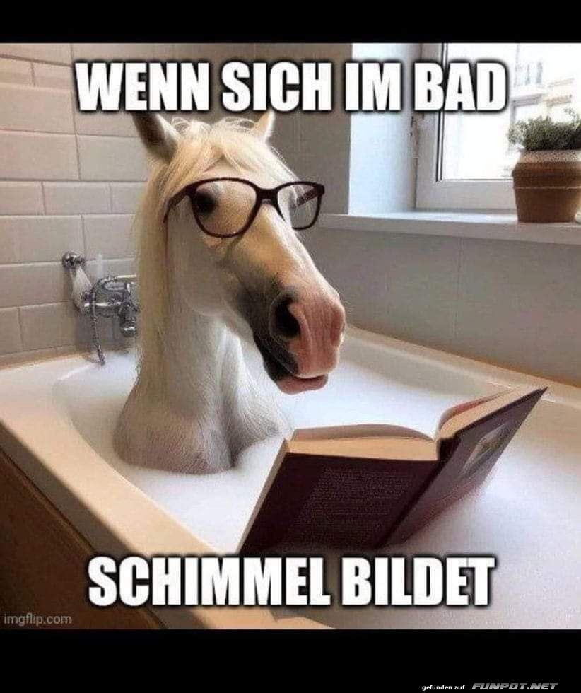 Schimmel im Bad