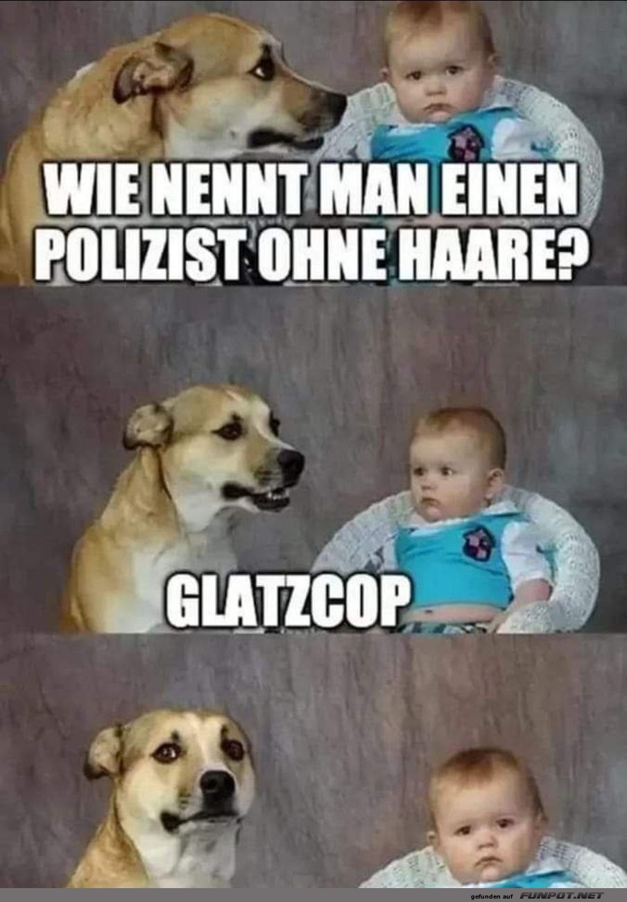 Ein Glatzcop