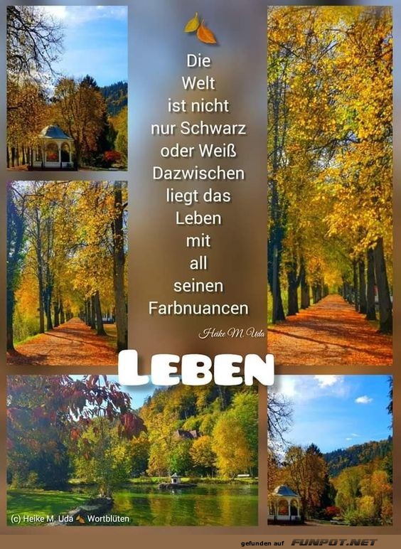 Die Welt ist nicht nur schwarz