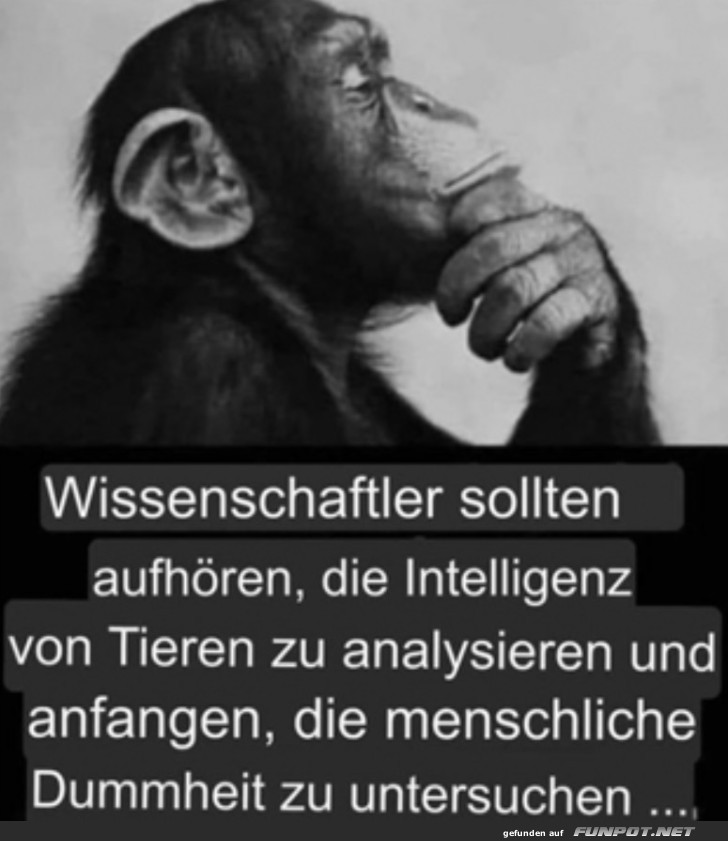 Gute Idee