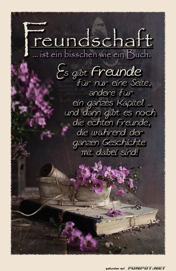 Freundschaft ist wie ein Buch