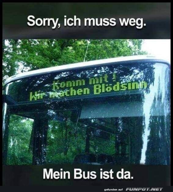 Mein Bus ist da