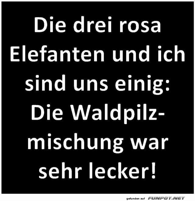 Leckere Waldpilzmischung