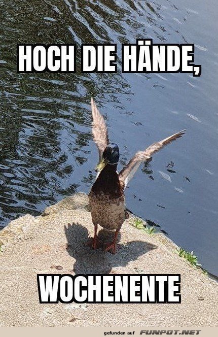 Hoch die Hnde