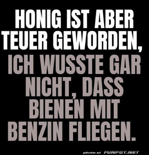 Honig ist teuer geworden