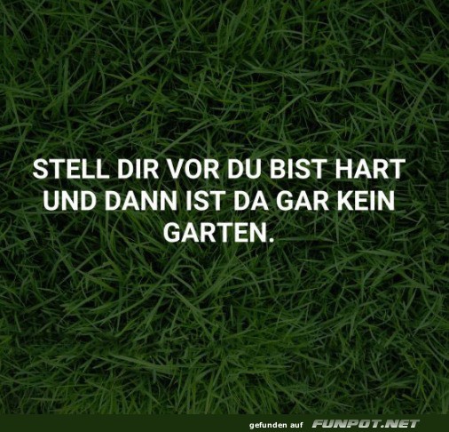 Sowas aber auch Sowas aber auch