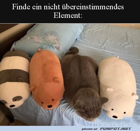 Finde den Fehler