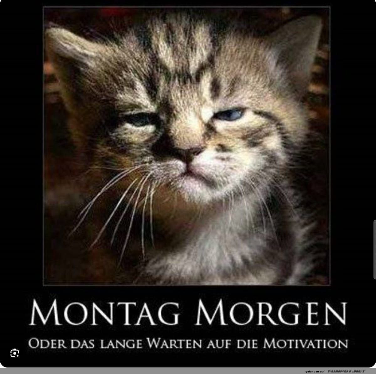 Montag Morgen