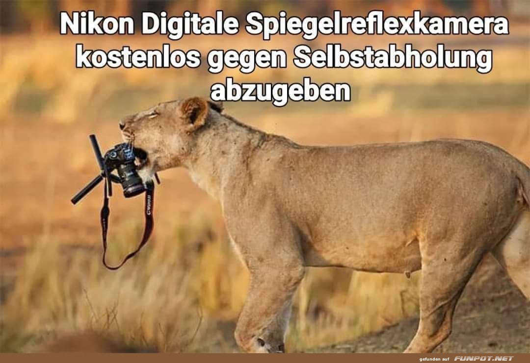 Kostenlos abzugeben