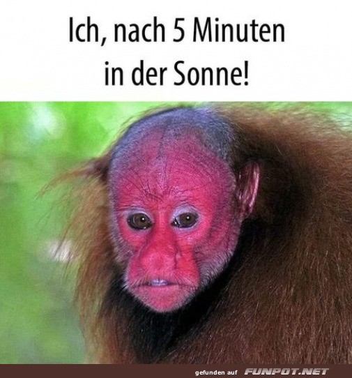 Ich nach 5 Minuten in der Sonne